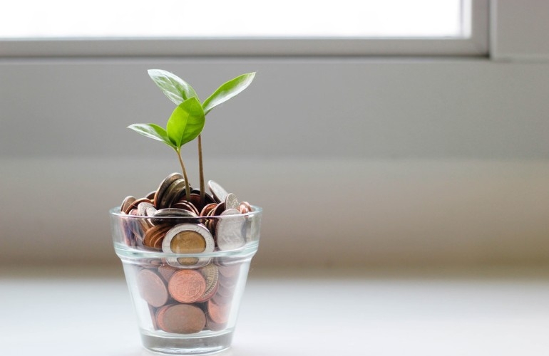 Plant growing from a small glass full on coins