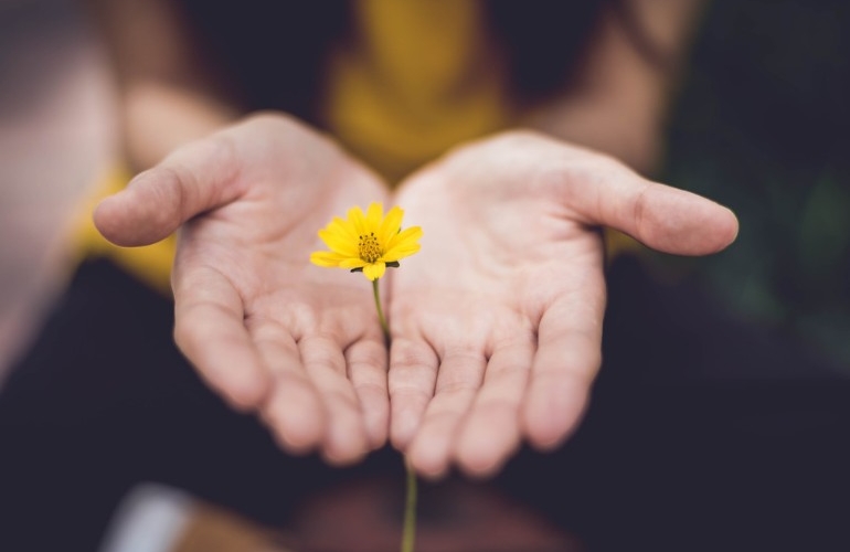 Hand cupping a flower